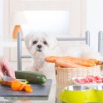 voće i povrće pas